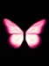 Pink Butterfly.jpg